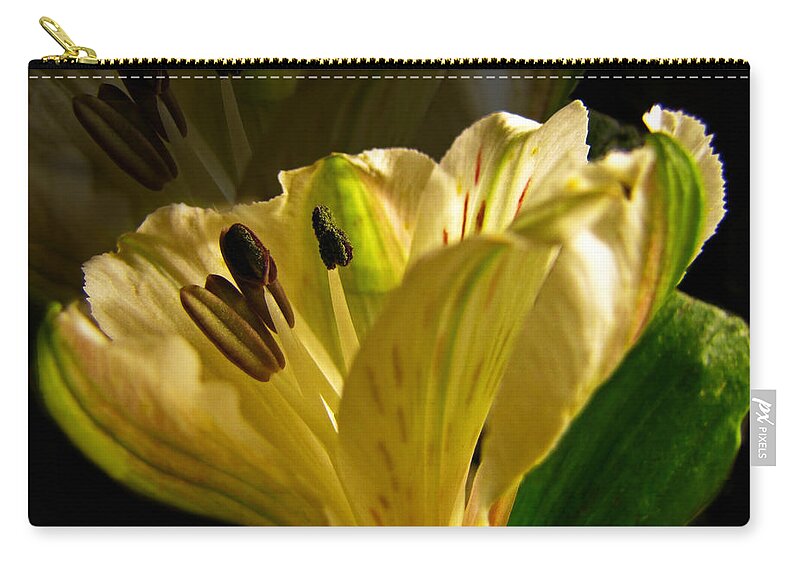  Zip Pouch featuring the photograph Ghosted Frecia by Debbie Portwood