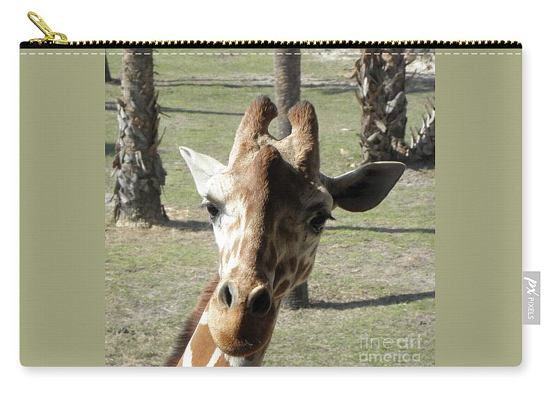 Giraffe Zip Pouch featuring the photograph Giraffe stare by Kim Galluzzo