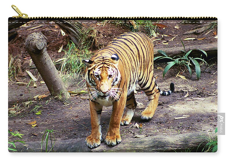  Zip Pouch featuring the photograph Give Me a Reason by Michael Frank Jr