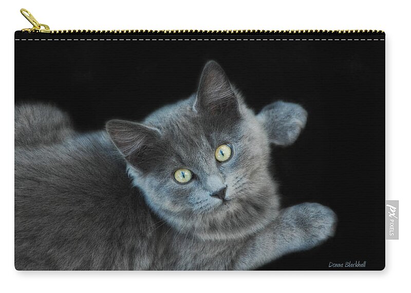 Cat Zip Pouch featuring the photograph Glamour Puss by Donna Blackhall