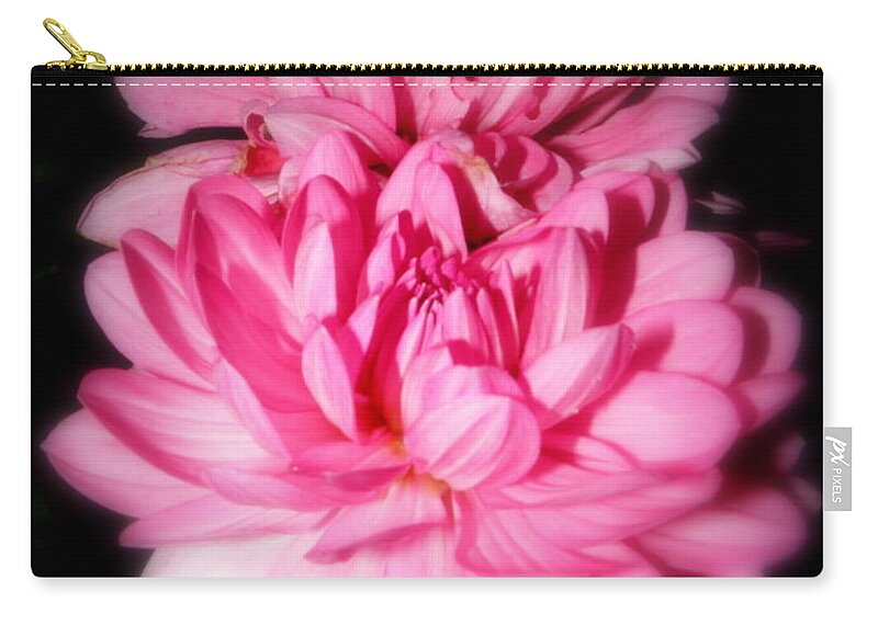 Dahlia Zip Pouch featuring the photograph Glowing Dahlias In The Night by Kim Galluzzo