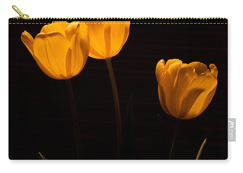 Flowers Zip Pouch featuring the photograph Glowing Tulips by Ed Gleichman