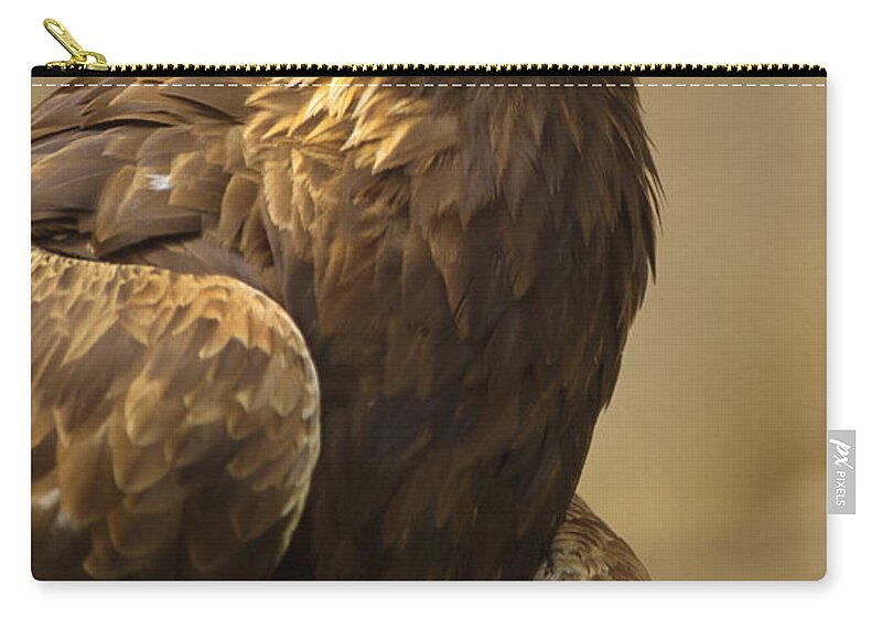 00176574 Zip Pouch featuring the photograph Golden Eagle Portrait North America by Tim Fitzharris