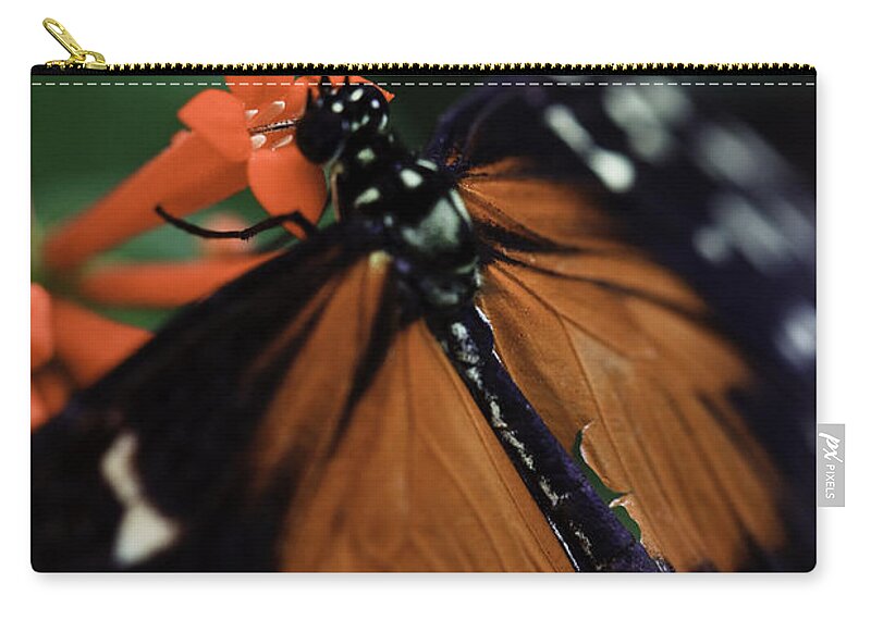 Golden Helicon Zip Pouch featuring the photograph Golden Helicon by Perla Copernik