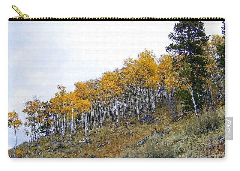 Aspen Carry-all Pouch featuring the photograph Golden Stand by Dorrene BrownButterfield