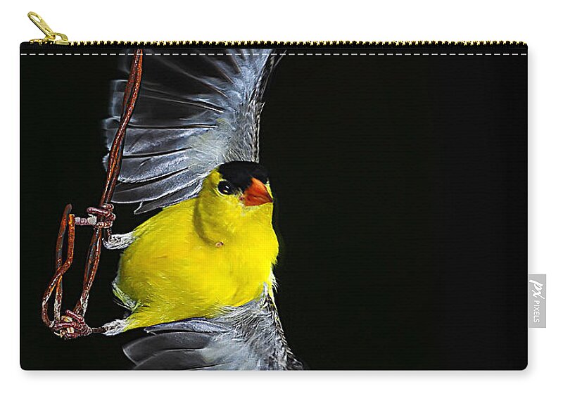 Goldfinch Wire Act Zip Pouch featuring the photograph Goldfinch high wire act by Randall Branham