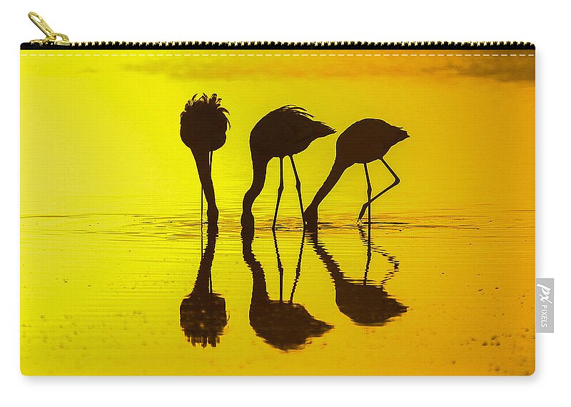 Africa Zip Pouch featuring the photograph Graceful gathering by Alistair Lyne