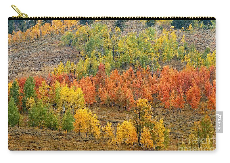 Bronstein Zip Pouch featuring the photograph Grand Teton Fall Color by Sandra Bronstein