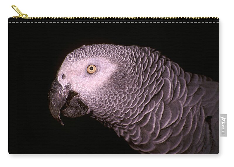 Parrot Zip Pouch featuring the photograph Gray Parrot by Paul W Faust - Impressions of Light
