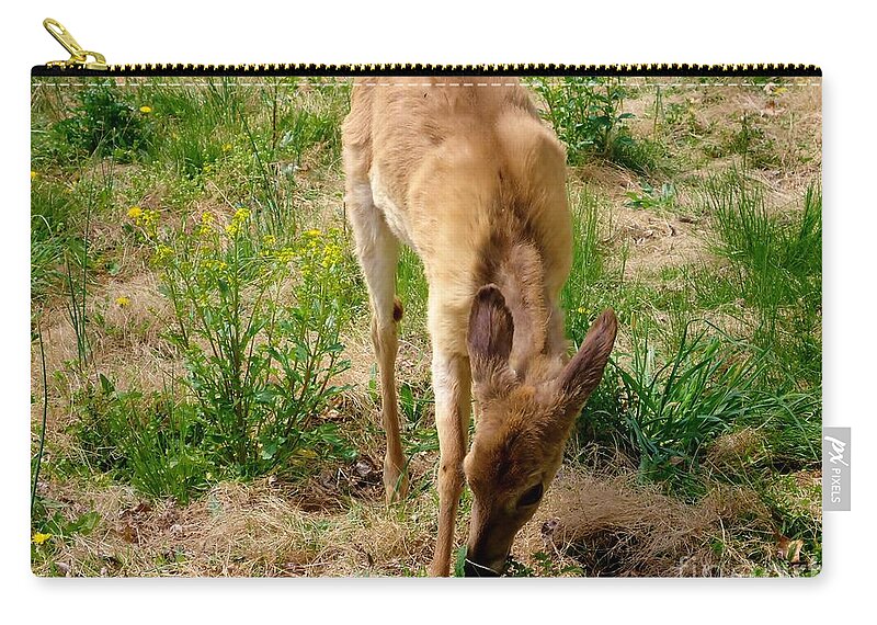 Deer Zip Pouch featuring the photograph Grazing by Art Dingo