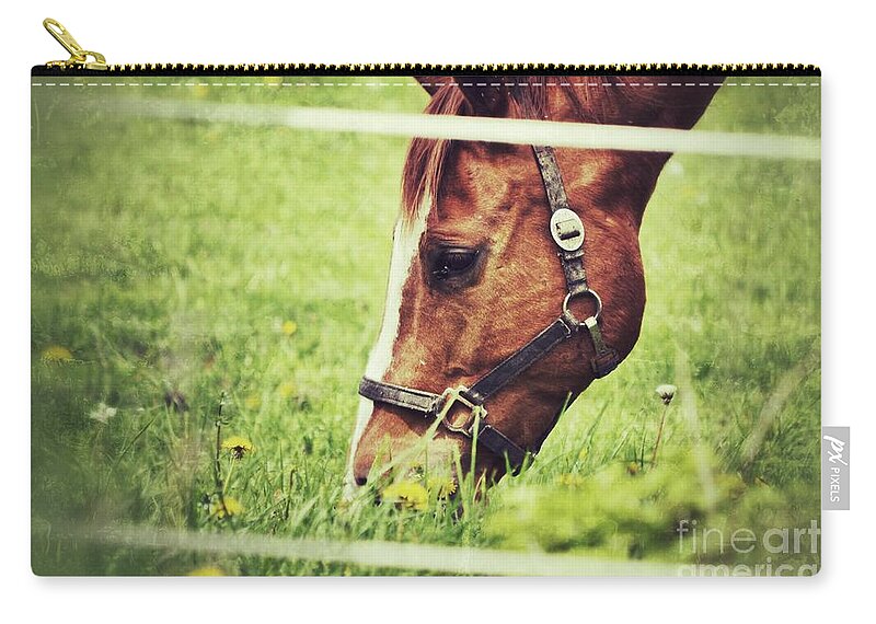 Horse Zip Pouch featuring the photograph Grazing by Traci Cottingham