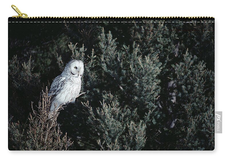 Mp Zip Pouch featuring the photograph Great Gray Owl Strix Nebulosa In Blonde by Michael Quinton