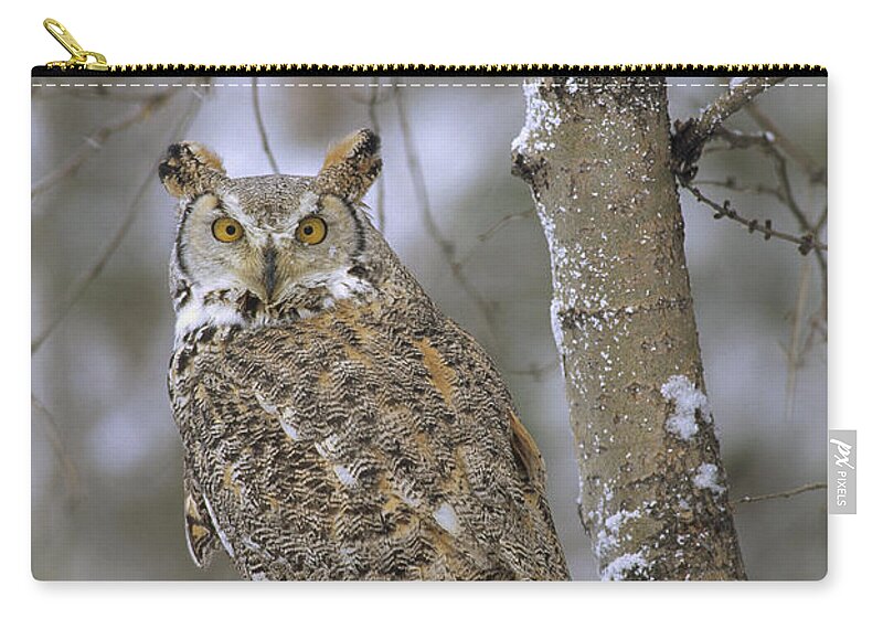 00170560 Zip Pouch featuring the photograph Great Horned Owl In Its Pale Form by Tim Fitzharris