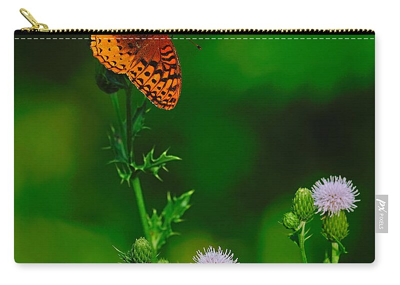 Great Spangled Fritillary Zip Pouch featuring the photograph Great Spangled Fritillary by Tony Beck