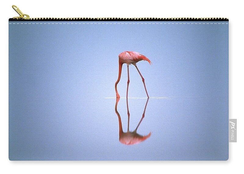 Mp Zip Pouch featuring the photograph Greater Flamingo Phoenicopterus Ruber by Gerry Ellis