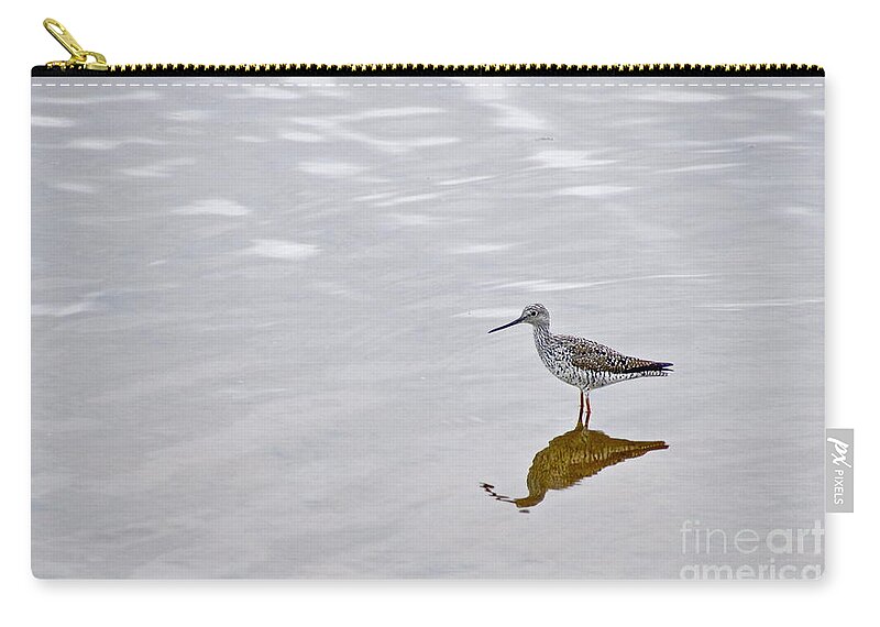 Photography Zip Pouch featuring the photograph Greater Yellowlegs by Sean Griffin