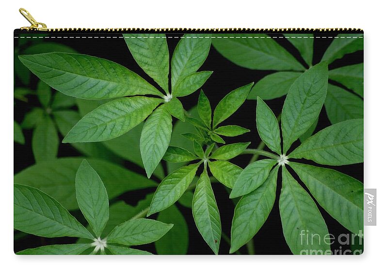 Green Zip Pouch featuring the photograph Green Is Beautiful by Living Color Photography Lorraine Lynch