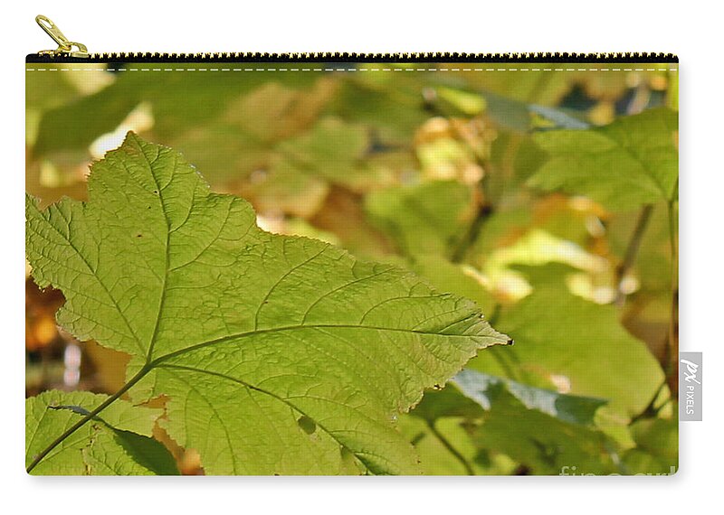 Leaves Zip Pouch featuring the photograph Green Leaves by Leone Lund