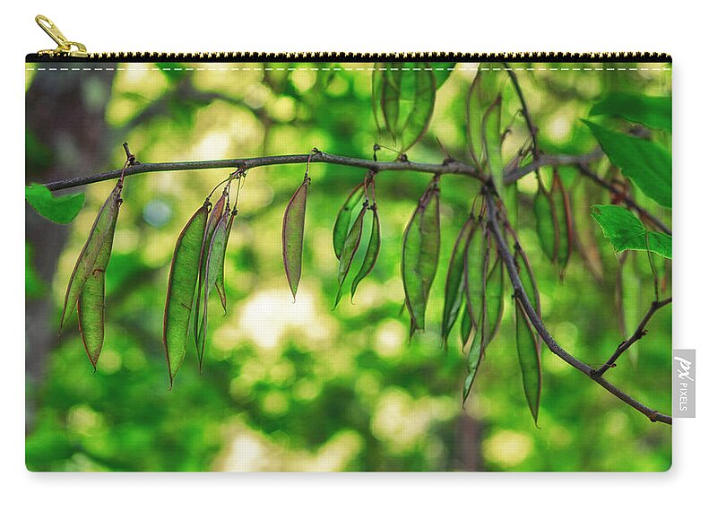 K-r Zip Pouch featuring the photograph Green Redbud Seed Pods by Lori Coleman