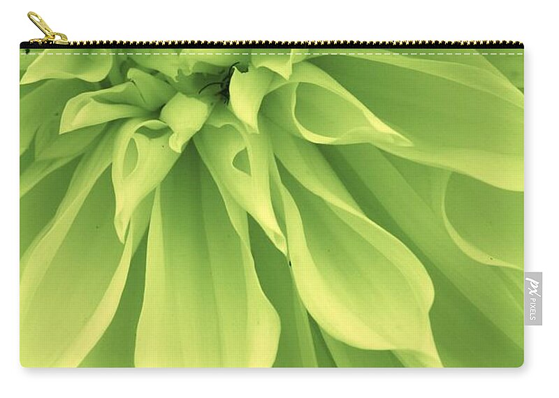 Flora Zip Pouch featuring the photograph Green Sherbet by Bruce Bley