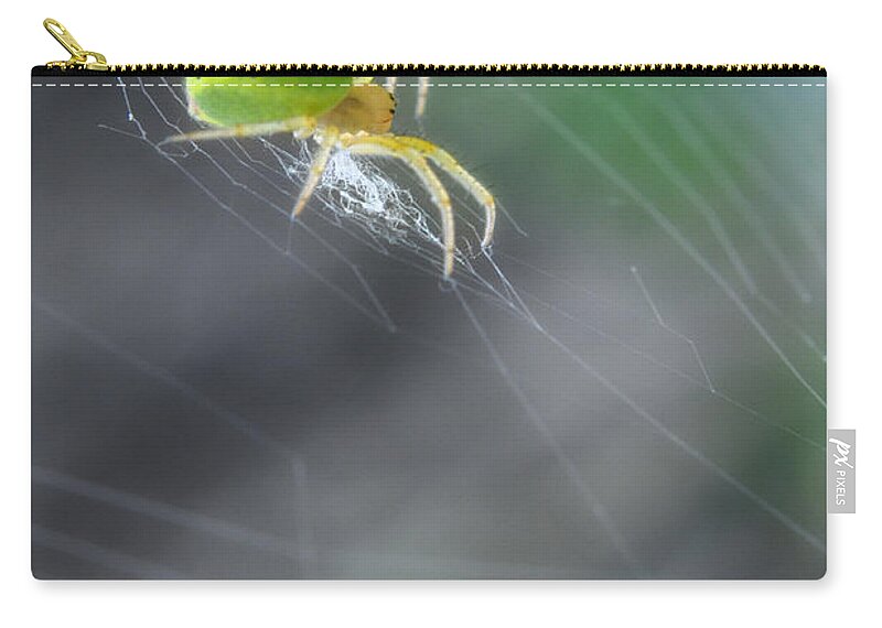 Yhun Suarez Zip Pouch featuring the photograph Green Spider 1.0 by Yhun Suarez