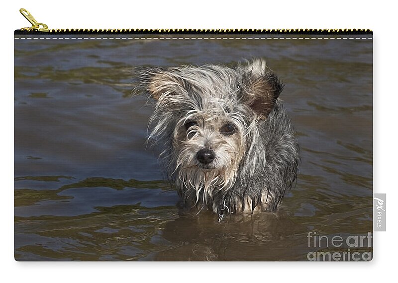 Dogs Zip Pouch featuring the photograph Gremlin Series 4 by Jeannette Hunt