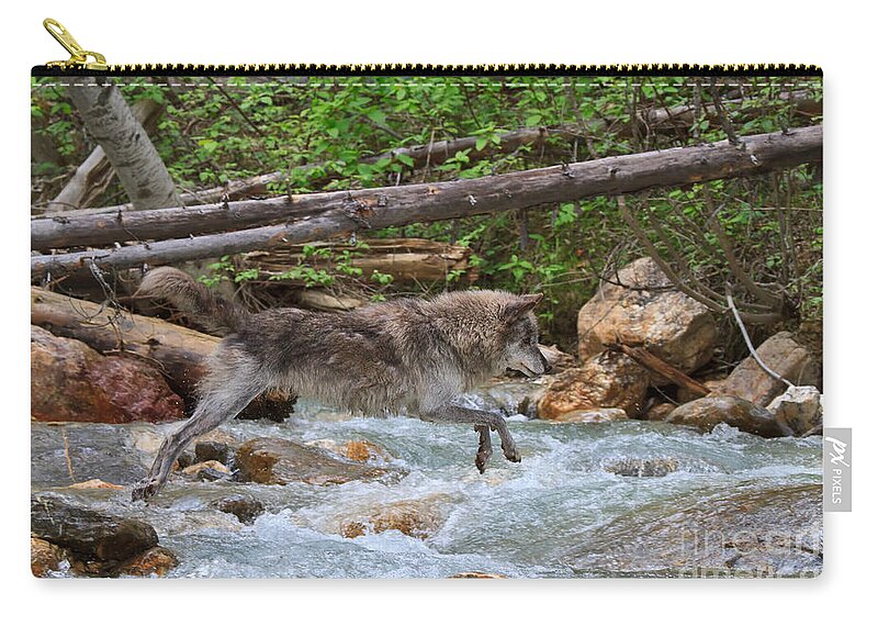 Wolf Zip Pouch featuring the photograph Grey wolf crossing a mountain stream by Louise Heusinkveld