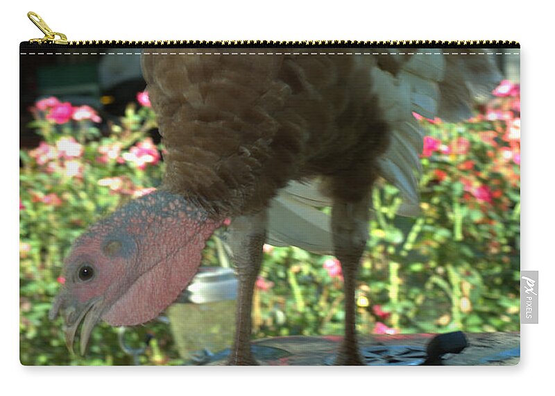 Bird Zip Pouch featuring the photograph Grill Turkey Anyone Redneck Style by Donna Brown