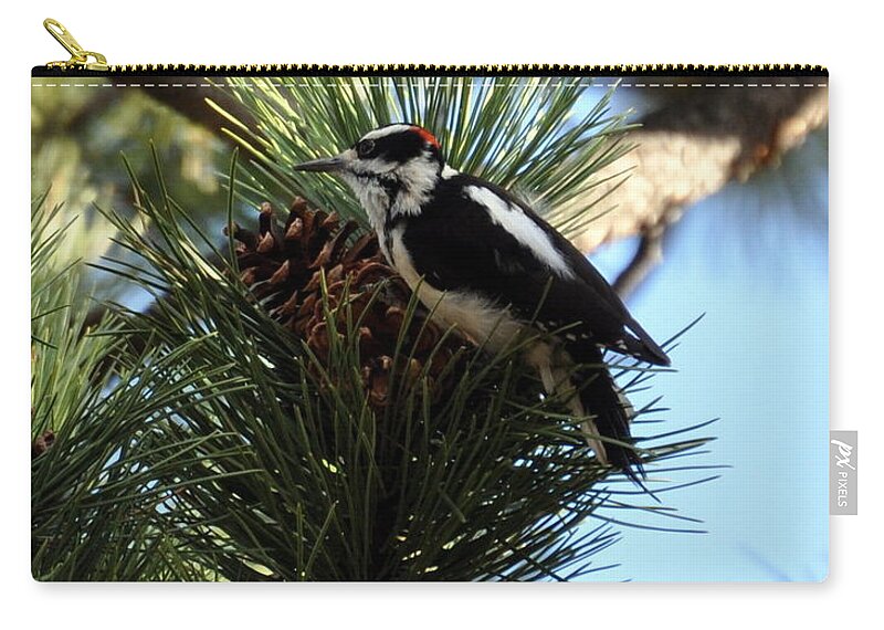 Woodpecker Zip Pouch featuring the photograph Hairy Woodpecker on Pine Cone by Dorrene BrownButterfield