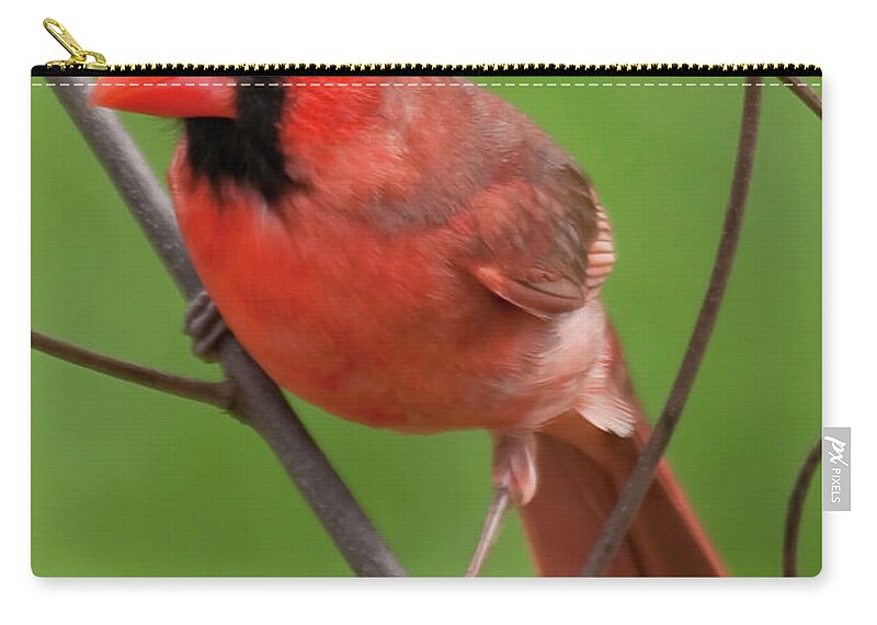 Hawaii Zip Pouch featuring the photograph Happy Holidays by Dan McManus