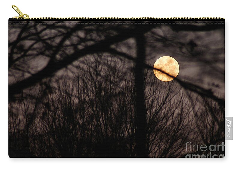 Clay Zip Pouch featuring the photograph Haunted Forest by Clayton Bruster