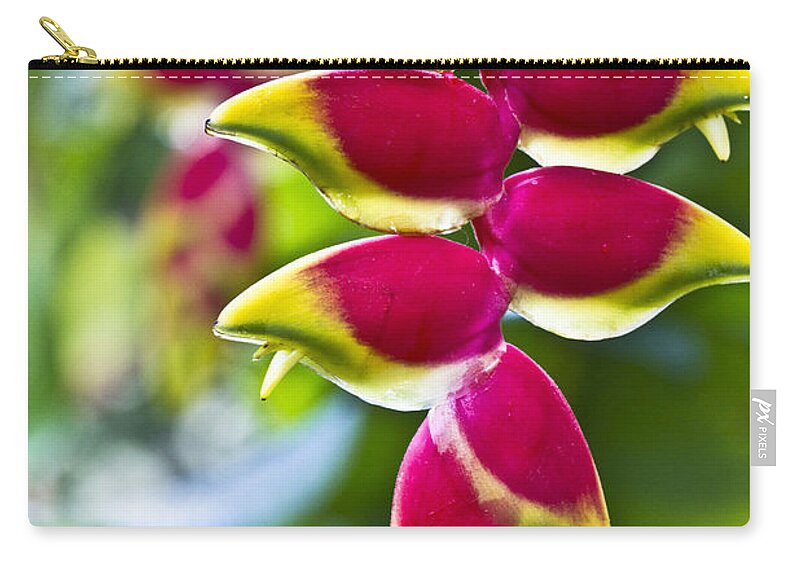 Heliconia Zip Pouch featuring the photograph Heliconia rostrata by Heiko Koehrer-Wagner