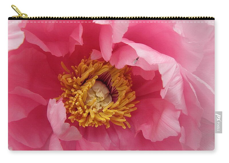 Pink Carry-all Pouch featuring the photograph hello PINK by Kim Galluzzo Wozniak