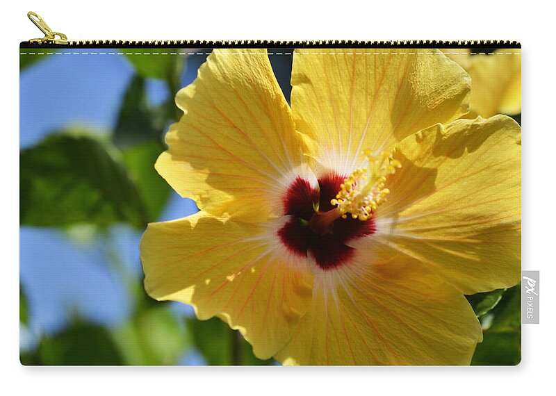 Hibiscus Zip Pouch featuring the photograph Hello Yellow by Melanie Moraga