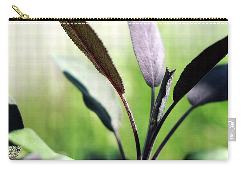 Herb Zip Pouch featuring the photograph Herb Garden Purple Sage by Rebecca Sherman