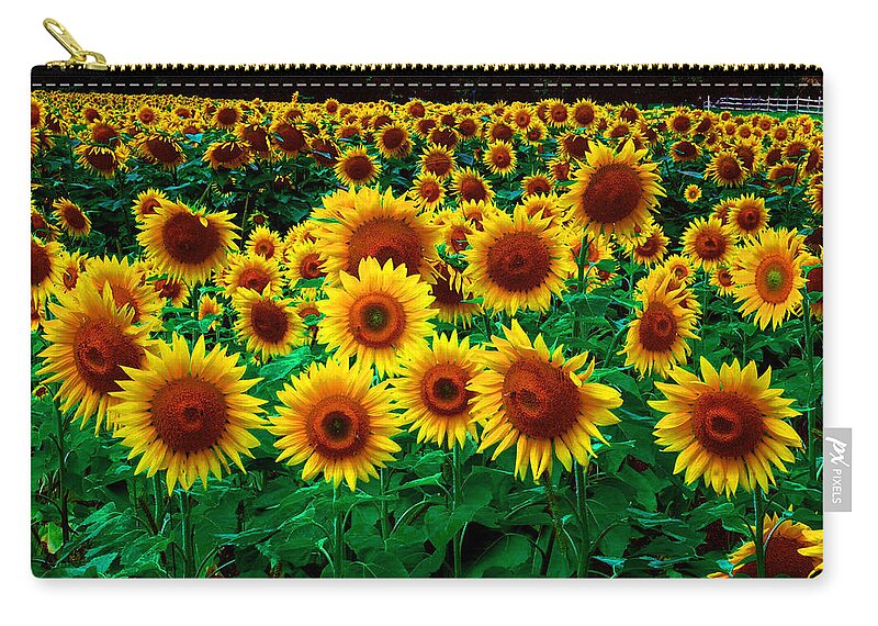 Flowers Zip Pouch featuring the digital art Here Comes the Sun by Richard Ortolano