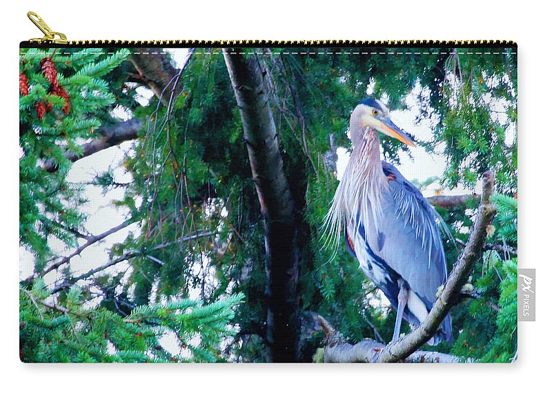 Great Blue Heron Zip Pouch featuring the photograph Heron by Tap On Photo