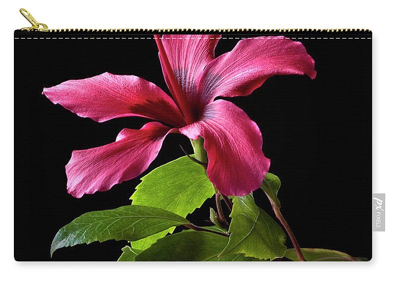 Flower Zip Pouch featuring the photograph Hibiscus by Endre Balogh
