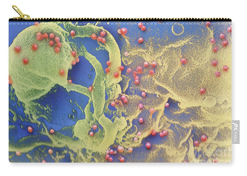 Virus Zip Pouch featuring the photograph Hiv Viruses by Science Source
