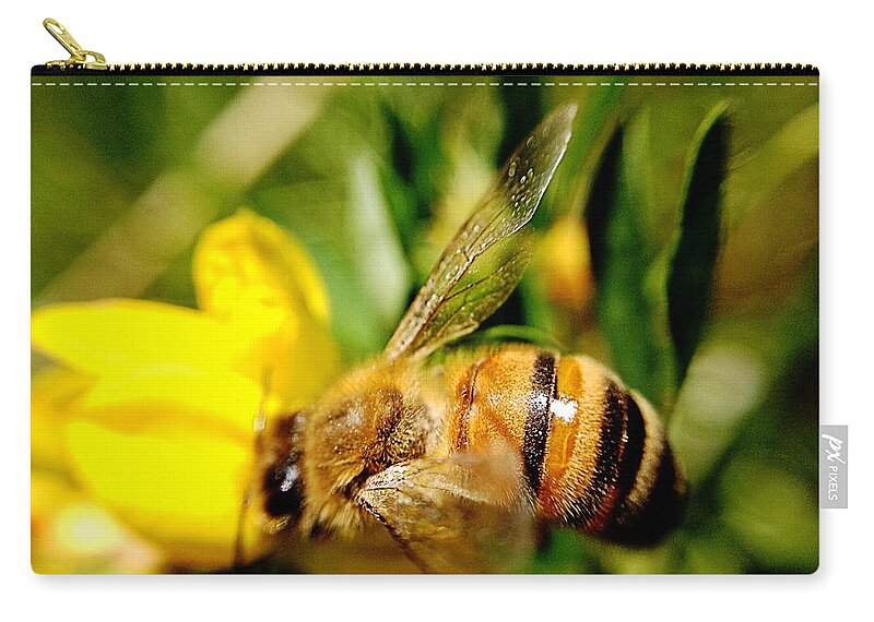 Honey Bee Zip Pouch featuring the photograph Honey Bee by Chriss Pagani