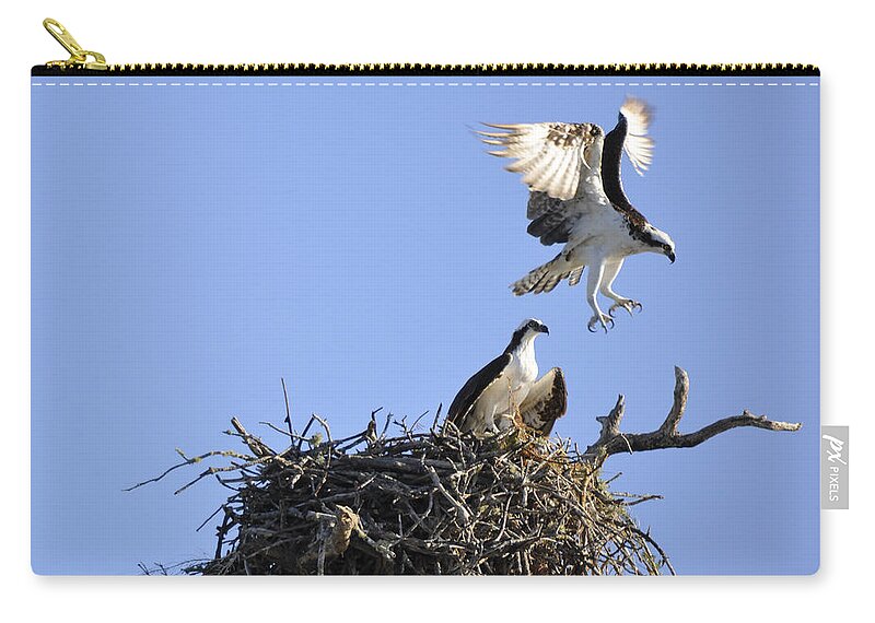 Osprey Zip Pouch featuring the photograph Honey I'm Home by CM Stonebridge