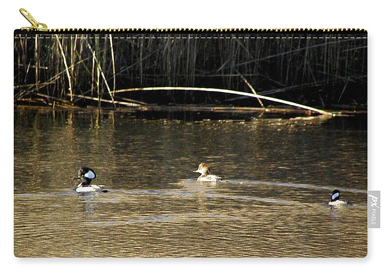 Hooded Zip Pouch featuring the photograph Hooded Mergansers by Kim Galluzzo