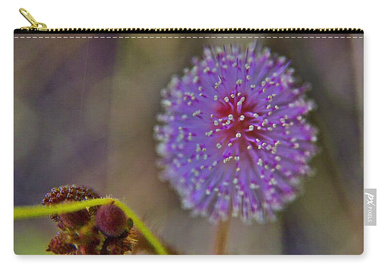 Plant Zip Pouch featuring the photograph Humble weed 1 by Jocelyn Kahawai