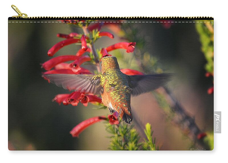 Hummingbirds Zip Pouch featuring the photograph Hummingbird in Flight 1 by Xueling Zou
