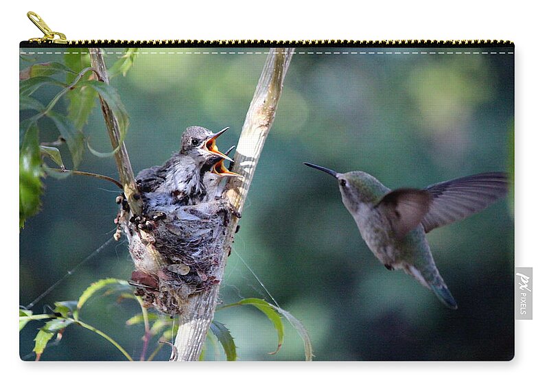 Birds Zip Pouch featuring the photograph Hurry Mom by Jo Sheehan