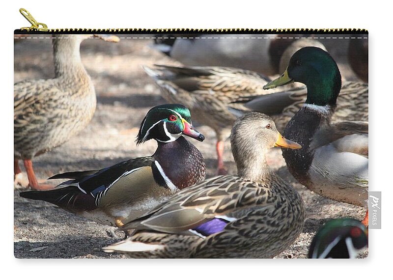 Wood Duck Zip Pouch featuring the photograph I Found Waldo by Amy Gallagher