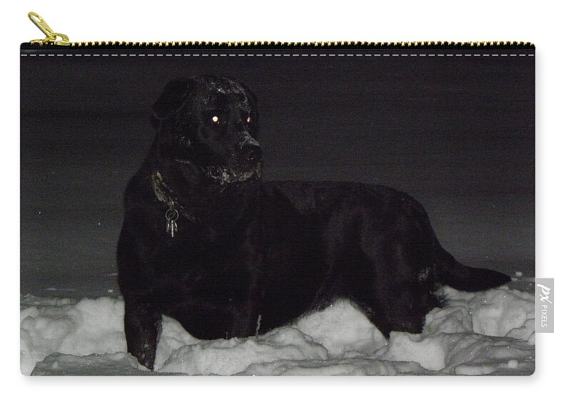 Louie Zip Pouch featuring the photograph I hear something by Kim Galluzzo