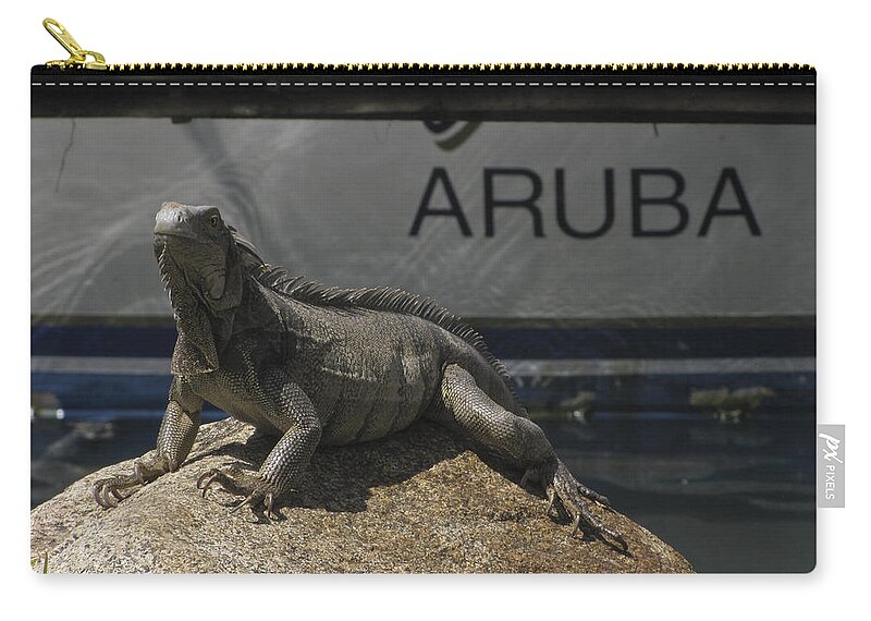 Iguana Zip Pouch featuring the photograph Iguana by David Gleeson