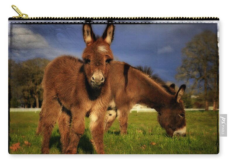 Miniature Donkey Zip Pouch featuring the photograph I'm A Star by Tiana McVay