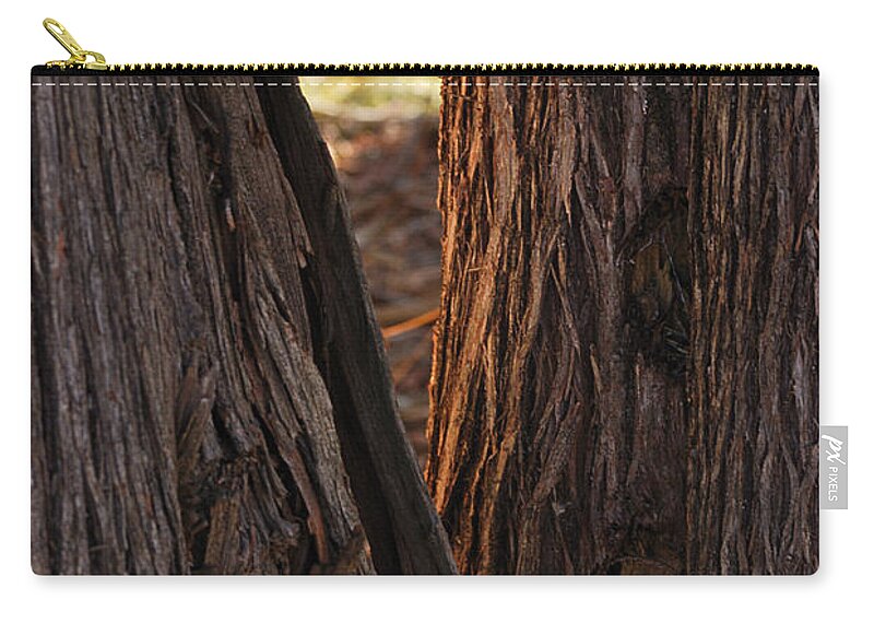 Trees Zip Pouch featuring the photograph In the Cedars by Sue Capuano